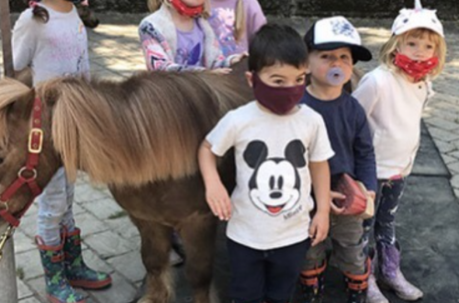 Kids with a mini horse